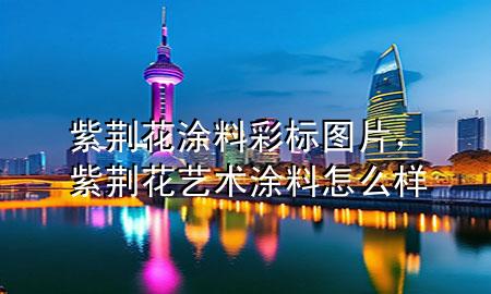 紫荊花涂料彩標(biāo)圖片，紫荊花藝術(shù)涂料怎么樣