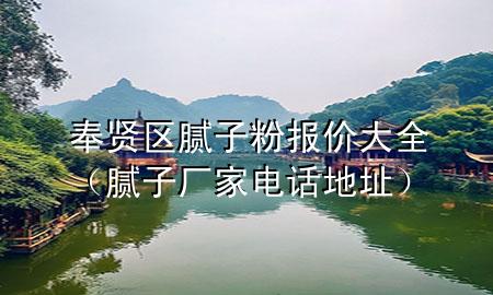 奉賢區(qū)膩子粉報價大全（膩子廠家電話地址）