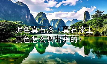 泥色真石漆（真石漆土黃色怎么調(diào)出來的）