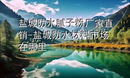 鹽城防水膩子粉廠家直銷-鹽城防水材料市場在哪里