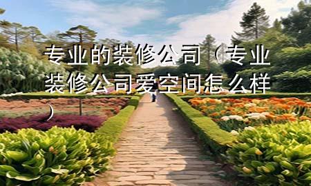 專業(yè)的裝修公司（專業(yè)裝修公司愛空間怎么樣）