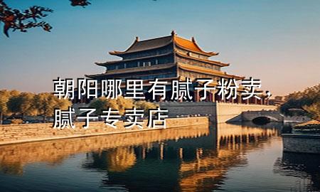 朝陽哪里有膩?zhàn)臃圪u，膩?zhàn)訉Ｙu店