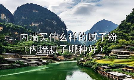 內墻買什么樣的膩子粉（內墻膩子哪種好）