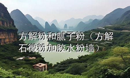 方解粉和膩?zhàn)臃郏ǚ浇馐⒎奂幽z水粉墻）