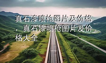 真石漆噴槍圖片及價格，真石漆噴槍圖片及價格大全