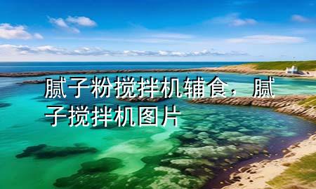 膩?zhàn)臃蹟嚢铏C(jī)輔食，膩?zhàn)訑嚢铏C(jī)圖片