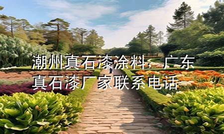 潮州真石漆涂料，廣東真石漆廠家聯(lián)系電話