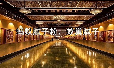 螞蟻膩子粉，蟻巢膩子