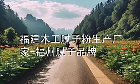 福建木工膩子粉生產(chǎn)廠家-福州膩子品牌