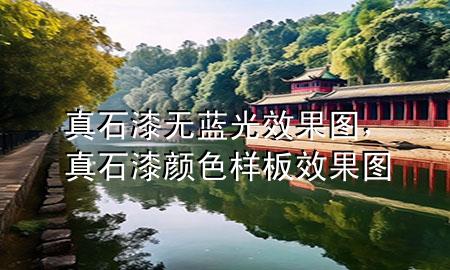 真石漆無(wú)藍(lán)光效果圖，真石漆顏色樣板效果圖