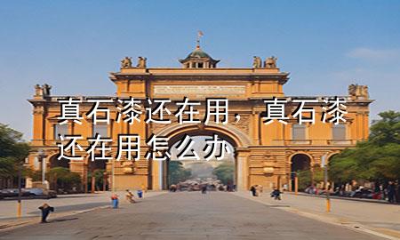 真石漆還在用，真石漆還在用怎么辦