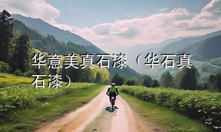 華意美真石漆（華石真石漆）