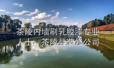 茶陵內(nèi)墻刷乳膠漆專業(yè)人士，茶陵縣裝修公司