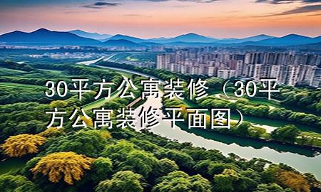 30平方公寓裝修（30平方公寓裝修平面圖）