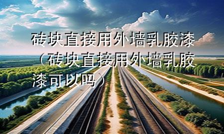 磚塊直接用外墻乳膠漆（磚塊直接用外墻乳膠漆可以嗎）