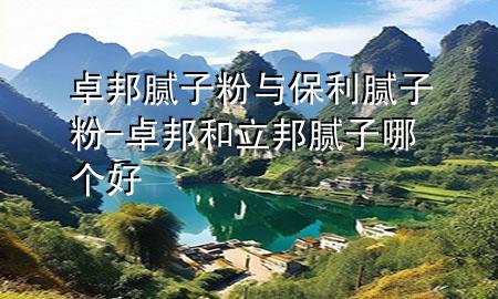 卓邦膩子粉與保利膩子粉-卓邦和立邦膩子哪個好