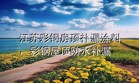 江蘇彩鋼房頂補(bǔ)漏涂料，彩鋼屋頂防水補(bǔ)漏