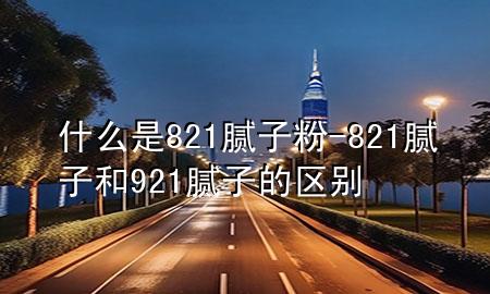 什么是821膩子粉-821膩子和921膩子的區(qū)別