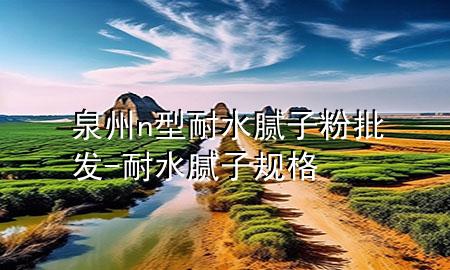 泉州n型耐水膩子粉批發(fā)-耐水膩子規(guī)格