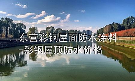東營(yíng)彩鋼屋面防水涂料-彩鋼屋頂防水價(jià)格