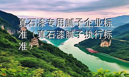 真石漆專用膩?zhàn)悠髽I(yè)標(biāo)準(zhǔn)（真石漆膩?zhàn)訄?zhí)行標(biāo)準(zhǔn)）
