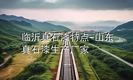 臨沂真石漆特點(diǎn)-山東真石漆生產(chǎn)廠家