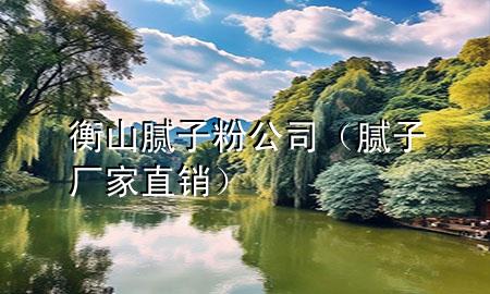 衡山膩子粉公司（膩子廠家直銷）