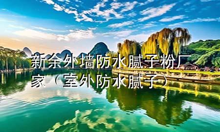 新余外墻防水膩子粉廠家（室外防水膩子）
