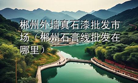 郴州外墻真石漆批發(fā)市場（郴州石膏線批發(fā)在哪里）