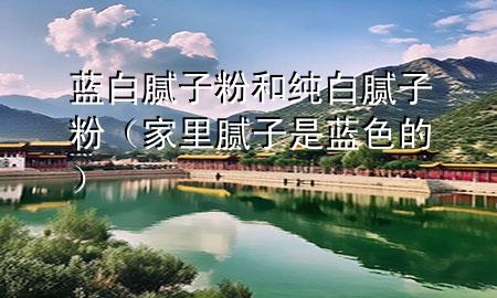 藍白膩子粉和純白膩子粉（家里膩子是藍色的）