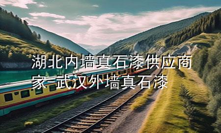 湖北內(nèi)墻真石漆供應(yīng)商家-武漢外墻真石漆
