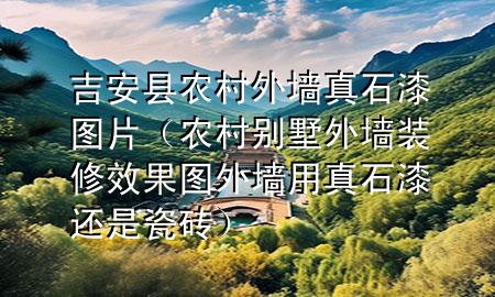 吉安縣農(nóng)村外墻真石漆圖片（農(nóng)村別墅外墻裝修效果圖外墻用真石漆還是瓷磚）