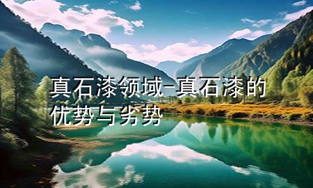 真石漆領(lǐng)域-真石漆的優(yōu)勢(shì)與劣勢(shì)
