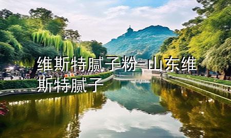 維斯特膩?zhàn)臃?山東維斯特膩?zhàn)?>
             </div>
             <!--文章無圖的情況下插入一張圖片end-->
              
      <p>本篇文章給大家談?wù)劸S斯特膩?zhàn)臃?，以及山東維斯特膩?zhàn)訉?duì)應(yīng)的知識(shí)點(diǎn)，希望對(duì)各位有所幫助，不要忘了收***本站喔。
今天給各位分享維斯特膩?zhàn)臃鄣闹R(shí)，其中也會(huì)對(duì)山東維斯特膩?zhàn)舆M(jìn)行解釋，如果能碰巧解決***現(xiàn)在面臨的問題，別忘了關(guān)注本站，現(xiàn)在開始吧！</p><ol type=