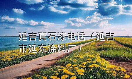 延吉真石漆電話（延吉市延?xùn)|涂料廠）