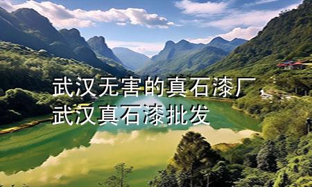 武漢無害的真石漆廠，武漢真石漆批發(fā)