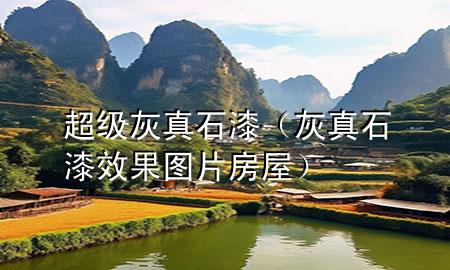 超級灰真石漆（灰真石漆效果圖片 房屋）