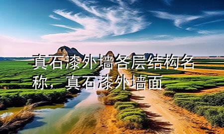 真石漆外墻各層結(jié)構(gòu)名稱，真石漆外墻面