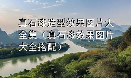 真石漆造型效果圖片大全集（真石漆效果圖片大全 搭配）