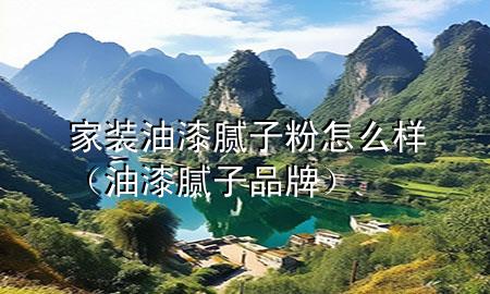 家裝油漆膩子粉怎么樣（油漆膩子品牌）