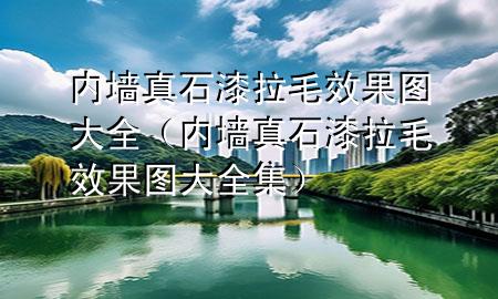 內(nèi)墻真石漆拉毛效果圖大全（內(nèi)墻真石漆拉毛效果圖大全集）