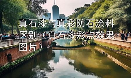 真石漆與真彩防石涂料區(qū)別（真石漆彩點效果圖片）