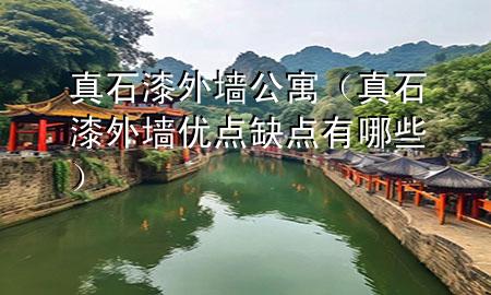 真石漆外墻公寓（真石漆外墻優(yōu)點(diǎn)缺點(diǎn)有哪些）