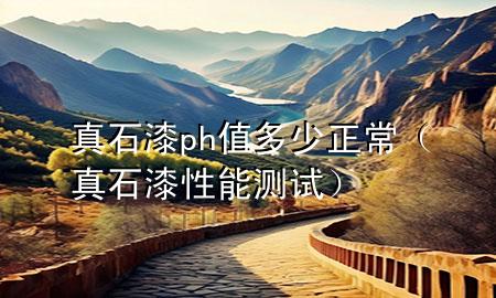 真石漆ph值多少正常（真石漆性能測(cè)試）