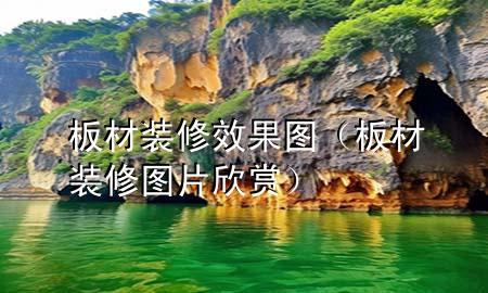 板材裝修效果圖（板材裝修圖片欣賞）