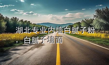 湖北專業(yè)內(nèi)墻白膩子粉，白膩子墻面
