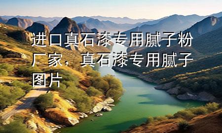 進(jìn)口真石漆專用膩?zhàn)臃蹚S家，真石漆專用膩?zhàn)訄D片