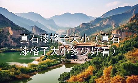 真石漆格子大?。ㄕ媸岣褡哟笮《嗌俸每矗?>
             </div>
             <!--文章無圖的情況下插入一張圖片end-->
              
      <p>本篇文章給大家談?wù)務(wù)媸岣褡哟笮?，以及真石漆格子大小多少好看?duì)應(yīng)的知識(shí)點(diǎn)，希望對(duì)各位有所幫助，不要忘了收***本站喔。
今天給各位分享真石漆格子大小的知識(shí)，其中也會(huì)對(duì)真石漆格子大小多少好看進(jìn)行解釋，如果能碰巧解決***現(xiàn)在面臨的問題，別忘了關(guān)注本站，現(xiàn)在開始吧！</p><ol type=