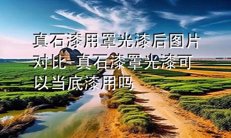 真石漆用罩光漆后圖片對(duì)比-真石漆罩光漆可以當(dāng)?shù)灼嵊脝?>
             </div>
             <!--文章無圖的情況下插入一張圖片end-->
              
      <p>大家好，今天小編關(guān)注到一個(gè)比較有意思的話題，就是關(guān)于真石漆用罩光漆后圖片對(duì)比的問題，于是小編就整理了4個(gè)相關(guān)介紹真石漆用罩光漆后圖片對(duì)比的解答，讓我們一起看看吧。</p><ol type=