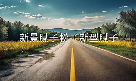 新景膩子粉（新型膩子）